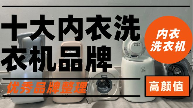 十大内衣洗衣机品牌：2024十大性能优秀品牌整理(图1)