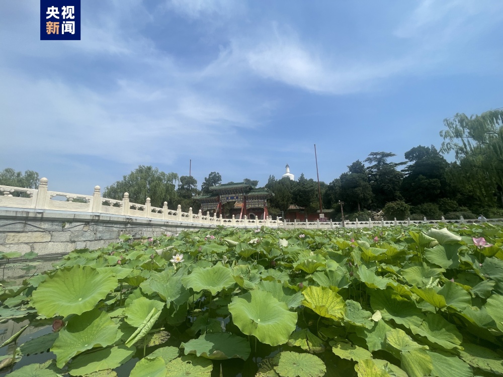 除故宫国博等之外北京全市旅游景区全面取消预约