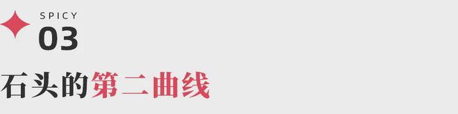 从扫地机闯入洗衣机赛道石头科技如何与巨头掰手腕？(图9)